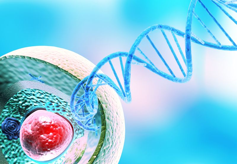 3D illustration of a cell cross section with a double helix emerging from it