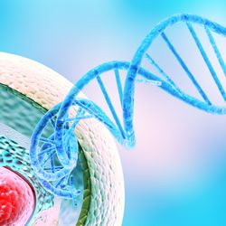 3D illustration of a cell cross section with a double helix emerging from it