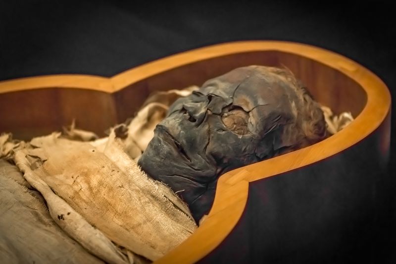 Ancient Egyptian mummy