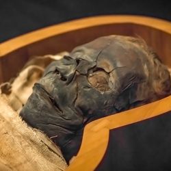 Ancient Egyptian mummy