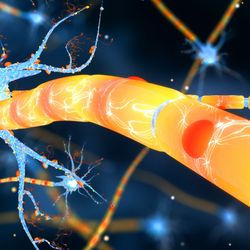 Neuronas and Synapse 3D render. neural network, neuroactivity, synapses, dendrid, neurotransmitters, myelin, Schwann cells, brain, axons.