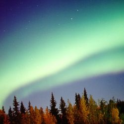 A huge stripe of green aurora swoops across the sky but there is a dark patch that goes through the middle alomst splitting it in two. This is the black aurora, which is really a lack of auroral activity taking a chunk out of an aurora we can see. 