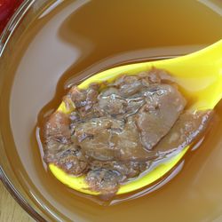 A spoon of Mother enzymes on a bowl of raw and unfiltered organic apple cider vinegar