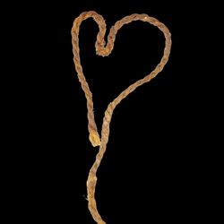 Fragments of sinew bowstrings from the Cave of Los Murciélagos in Albuñol, the oldest bowstrings found so far in Europe.