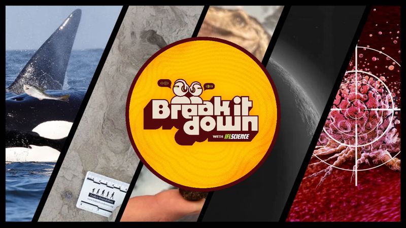 All the biggest science news stories of the week.