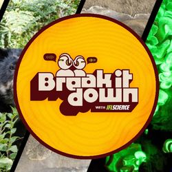 All the biggest science news stories of the week.