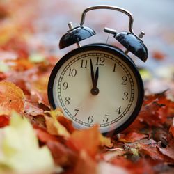 alarm clock on autumn leaves natural background