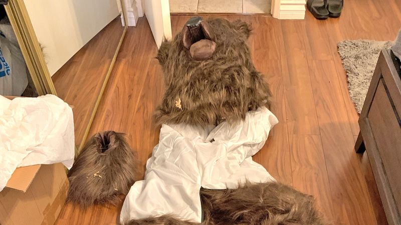 photograph of a bear costume laid out on a wooden floor