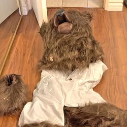 photograph of a bear costume laid out on a wooden floor