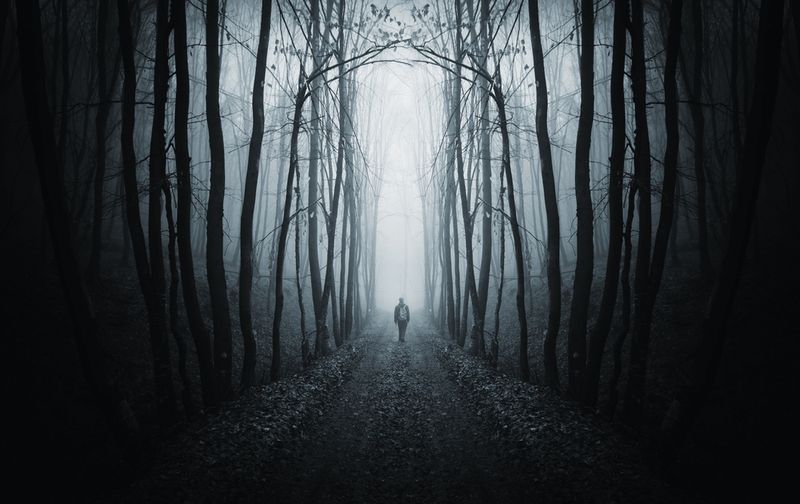 The Unsettling Explanation Of The Dark Forest Hypothesis: Why Aliens Haven't Made Contact