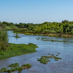Dos Rios state park, floodplains located on the confluence of the Tuolumne River and the San Joaquin River in the Central Valley, California.