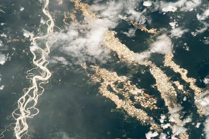 The gold-laden forests of eastern Peru as seen from the ISS on December 24, 2020. 