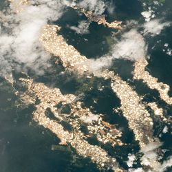 The gold-laden forests of eastern Peru as seen from the ISS on December 24, 2020. 