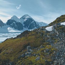 Mountain with rocks, mosses at Antarctic landscape