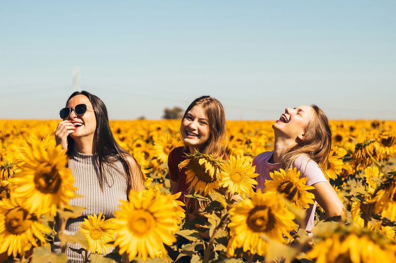 three women smiling and laughing together in a field of sunflowers on a sunny day