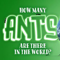 ants holding up the Earth