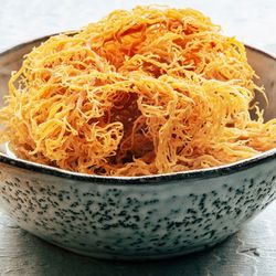 Irish sea moss, Chondrus Crispus