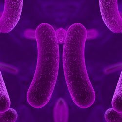 Bacteria on colorful background, 3D illustration