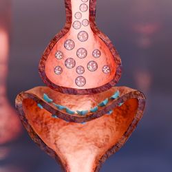 The drug works by targeting muscarinic receptors.