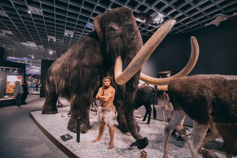 Neanderthal hunter and woolly mammoth