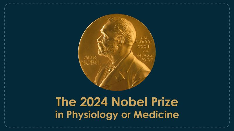 The nobel prize medal and the wording the 2024 Nobel Prize in Physiology or Medicine on a blue background