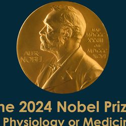 The nobel prize medal and the wording the 2024 Nobel Prize in Physiology or Medicine on a blue background