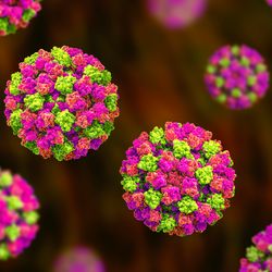 3D depiction of norovirus particles, in green and pink