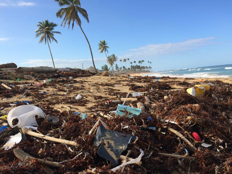 Plastic pollution, bottles, and bags cover a tropical beach in Dominican Republic, Punta Cana.