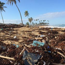 Plastic pollution, bottles, and bags cover a tropical beach in Dominican Republic, Punta Cana.