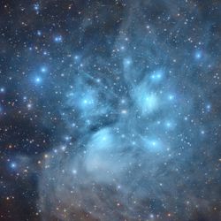 photograph of the pleiades star cluster