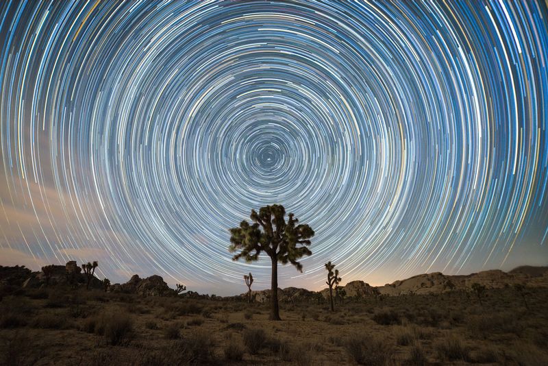 Star trails over a Joshua Tree National Park, with the Pole Star the one not rotating, but at the south celestial pole there is just darkness.