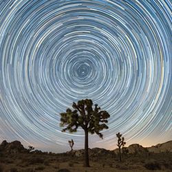 Star trails over a Joshua Tree National Park, with the Pole Star the one not rotating, but at the south celestial pole there is just darkness.