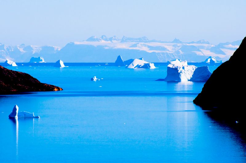 Icebergs floating in the blue water of Scoresby Sound, the world’s largest fjord.