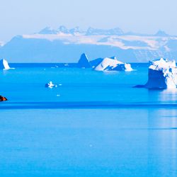 Icebergs floating in the blue water of Scoresby Sound, the world’s largest fjord.