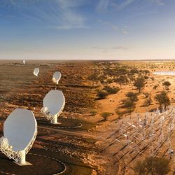 Artist impressions of the antennae in south africa and in australia merged in a single image. The former are traditional white dishes pointing at the sky. The latter are small triangular wire sitting in little "forests"