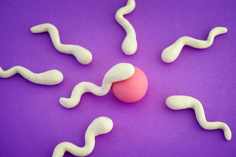 plasticine representations of white sperm cells and a pink egg cell on a purple background