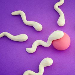 plasticine representations of white sperm cells and a pink egg cell on a purple background