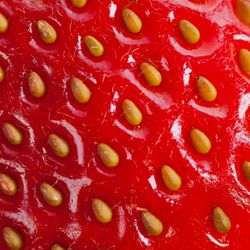 They are not strawberry seeds, but receptacle tissue 