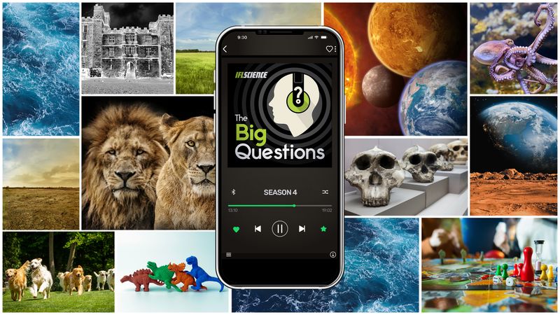 a collage of images representing all of the episodes of IFLScience The Big Questions Season 4