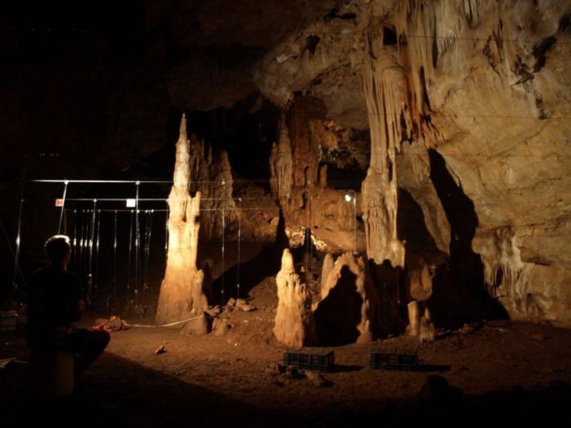 The photo shows the large cavern in the Manot Cave. It has been illuminated by artificial light revealing the cave wall with several rock features sticking up from the ground. The image shows a researcher to the right kneeling and looking away from the camera as they examine a lattice of cables that have been set up as a kind of frame. 