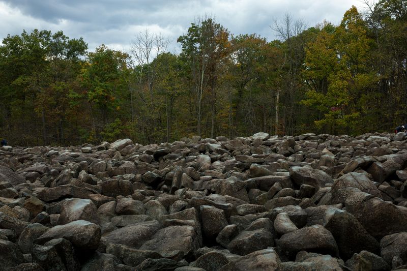 A photo take from ground level looking at the sonorous rock field at Ringing Rock Park. The foreground is taken up by bed of these rocks. In the background, the tree line to the surrounding forest is visible with the cloudy sky above it. 