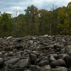 A photo take from ground level looking at the sonorous rock field at Ringing Rock Park. The foreground is taken up by bed of these rocks. In the background, the tree line to the surrounding forest is visible with the cloudy sky above it. 