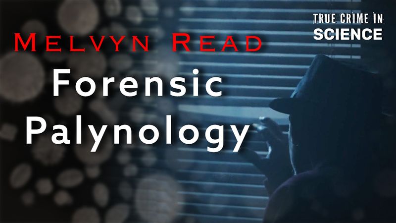 A man looking out the window next to pollen spores