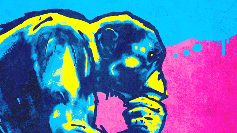 Illustration of a monkey with its hand on its chin, as if in thought