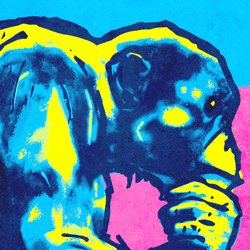 Illustration of a monkey with its hand on its chin, as if in thought