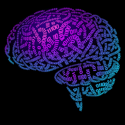 illustration of the human brain on a black background; the brain is composed of strings of binary code, curved to represent the shape of the surface, in shades of purple and turquoise