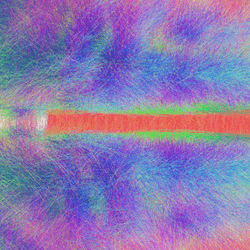 the human connectome