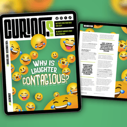 CURIOUS Issue 29 cover