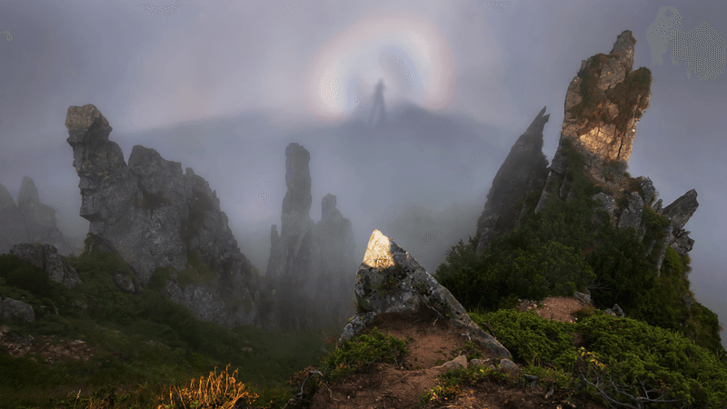 a dark watcher appears on a walk in the fog