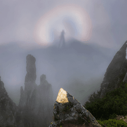 a dark watcher appears on a walk in the fog